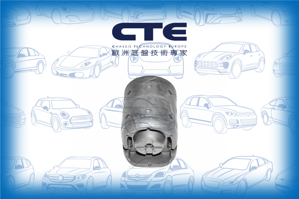 Rubber Bushing/NISSAN/ALTIMA (L30)/ALTIMA (L31)/ALTIMA (L32)/CEFIRO II Saloon (A32)/MAXIMA / MAXIMA QX IV (A32)/MAXIMA / MAXIMA QX IV Station Wagon (A32)/SUNNY III (N14) | PULSAR