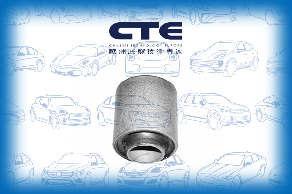 Rubber Bushing/INFINITI/NISSAN/ALTIMA (L30)/ALTIMA (L31)/ALTIMA (L32)/G20/MAXIMA III (J30)/PRIMERA (P10)/PRIMERA (P11)