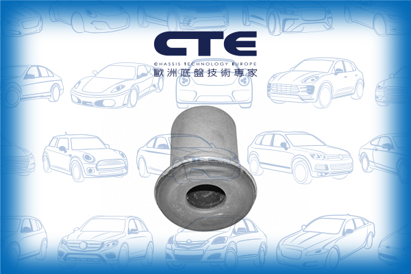 Rubber Bushing/NISSAN/CEDRIC Hardtop (Y31)