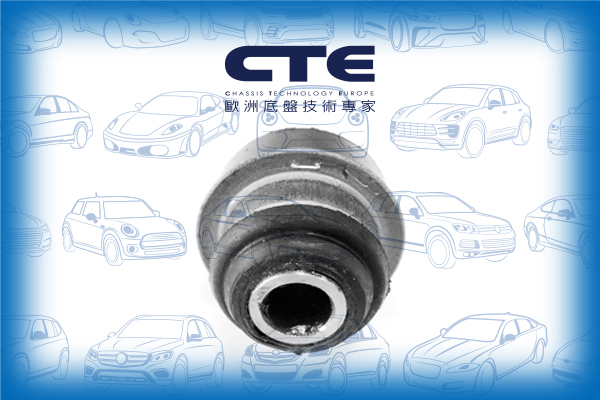 Rubber Bushing/INFINITI/NISSAN/G20/PRIMERA (P10)