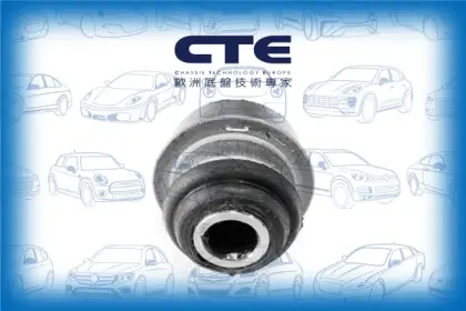 Rubber Bushing/INFINITI/NISSAN/G20/PRIMERA (P10)
