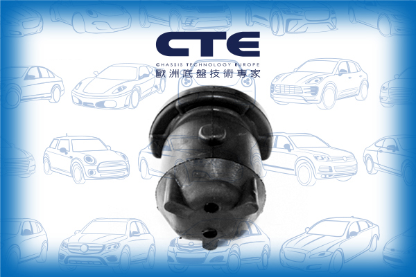 Rubber Bushing/NISSAN/MICRA II (K11) | MARCH | VERITA