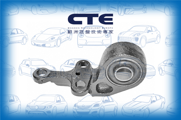 Rubber Bushing/NISSAN/ALMERA II (N16)/SENTRA V (B15)/SUNNY IV Coupe (B15)/SUNNY IV Hatchback (N16)/SUNNY IV Saloon (N16)