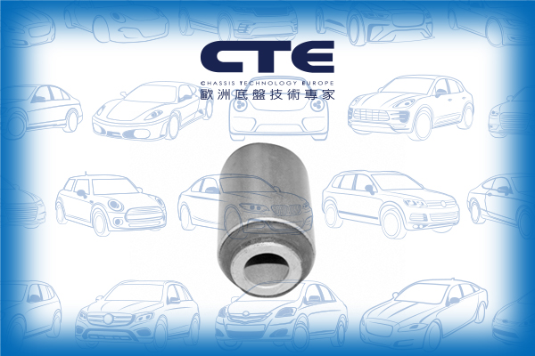 Rubber Bushing/NISSAN/ALMERA II (N16)/SENTRA V (B15)/SUNNY IV Coupe (B15)/SUNNY IV Hatchback (N16)/SUNNY IV Saloon (N16)