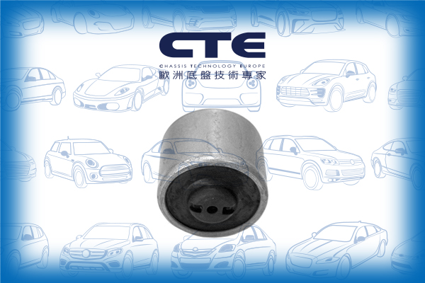 Rubber Bushing/NISSAN/CEFIRO III Saloon (A33)/MAXIMA / MAXIMA QX V (A33)