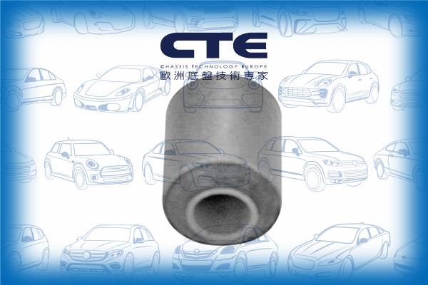Rubber Bushing/NISSAN/CEFIRO III Saloon (A33)/MAXIMA / MAXIMA QX V (A33)