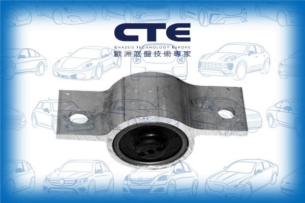 Rubber Bushing/NISSAN/MAXIMA / MAXIMA QX V (A33)