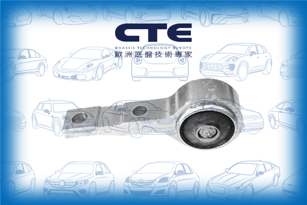 Rubber Bushing/NISSAN/PRIMERA (P12)