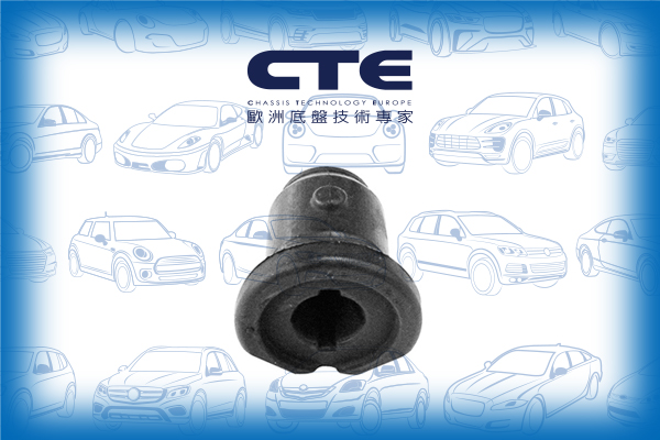 Rubber Bushing/NISSAN/MICRA I (K10) | MARCH