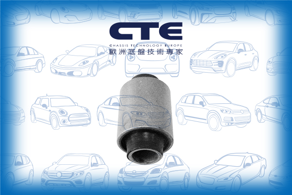 Rubber Bushing/NISSAN/MICRA II (K11) | MARCH | VERITA