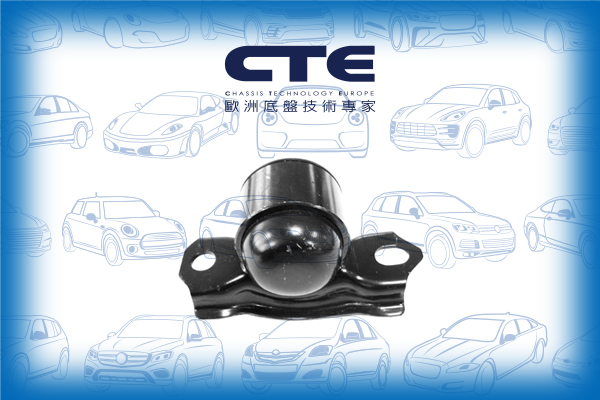 Rubber Bushing/NISSAN/PRIMERA (P11)