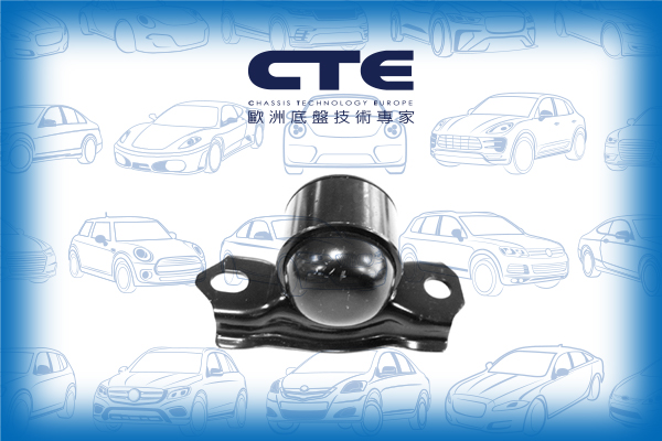 Rubber Bushing/NISSAN/PRIMERA (P11)