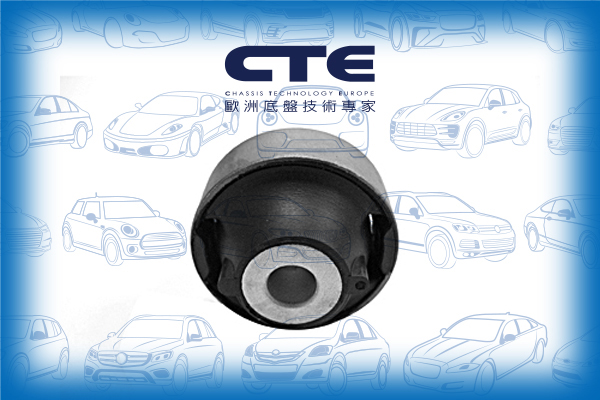 Rubber Bushing/NISSAN/MICRA C+C III (K12) | MARCH/MICRA III (K12) | MARCH