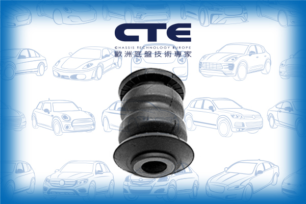 Rubber Bushing/NISSAN/RENAULT/CLIO III (BR0/1, CR0/1) | LUTECIA/MICRA C+C III (K12) | MARCH/MICRA III (K12) | MARCH/TIIDA Hatchback (C11) | LATIO/TIIDA Saloon (SC11) | TIIDA LATIO