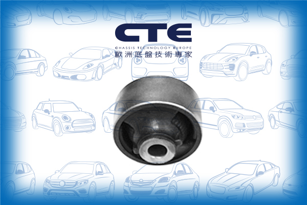 Rubber Bushing/NISSAN/NISSAN (DFAC)/RENAULT/BLUEBIRD SYLPHY / SYLPHY III (B17) | SENTRA/CLIO III (BR0/1, CR0/1) | LUTECIA/JUKE (F15)/KOLEOS I (HY_)/LEAF (ZE0)/MODUS / GRAND MODUS (F/JP0_)/NV200 / EVALIA Bus/NV200 Van/PULSAR Hatchback (C13) | SYLPHY | TIID