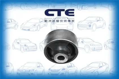 Rubber Bushing/NISSAN/NISSAN (DFAC)/RENAULT/BLUEBIRD SYLPHY / SYLPHY III (B17) | SENTRA/CLIO III (BR0/1, CR0/1) | LUTECIA/JUKE (F15)/KOLEOS I (HY_)/LEAF (ZE0)/MODUS / GRAND MODUS (F/JP0_)/NV200 / EVALIA Bus/NV200 Van/PULSAR Hatchback (C13) | SYLPHY | TIID