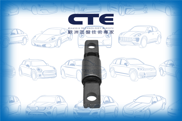 Rubber Bushing/NISSAN/NISSAN (DFAC)/RENAULT/BLUEBIRD SYLPHY / SYLPHY III (B17) | SENTRA/CLIO III (BR0/1, CR0/1) | LUTECIA/JUKE (F15)/KOLEOS I (HY_)/LEAF (ZE0)/MODUS / GRAND MODUS (F/JP0_)/NV200 / EVALIA Bus/NV200 Van/PULSAR Hatchback (C13) | SYLPHY | TIID
