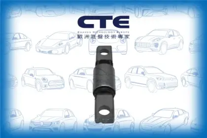 Rubber Bushing/NISSAN/NISSAN (DFAC)/RENAULT/BLUEBIRD SYLPHY / SYLPHY III (B17) | SENTRA/CLIO III (BR0/1, CR0/1) | LUTECIA/JUKE (F15)/KOLEOS I (HY_)/LEAF (ZE0)/MODUS / GRAND MODUS (F/JP0_)/NV200 / EVALIA Bus/NV200 Van/PULSAR Hatchback (C13) | SYLPHY | TIID