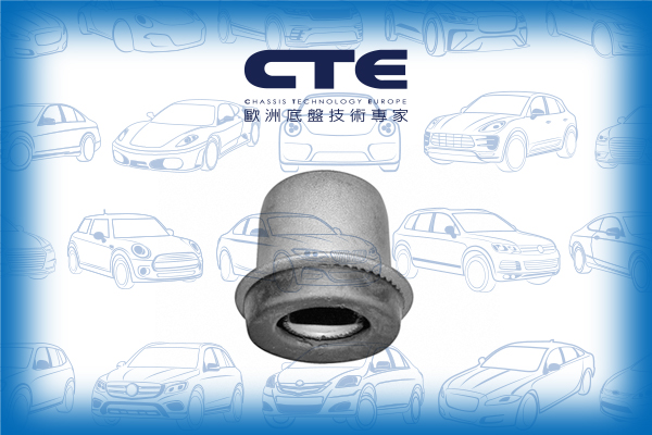Rubber Bushing