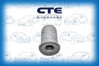 Rubber Bushing
