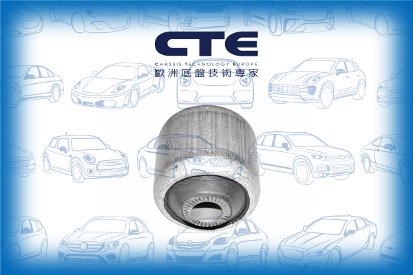 Rubber Bushing/BMW/5 (E34)/5 (E39)/7 (E32)/7 (E38)