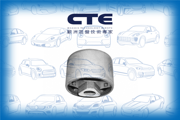 Rubber Bushing/BMW/5 (E28)/6 (E24)