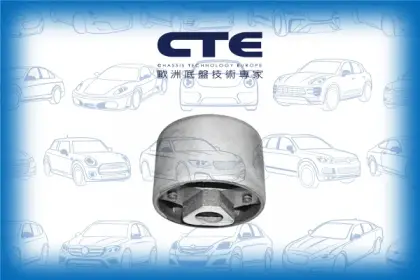 Rubber Bushing/BMW/5 (E28)/6 (E24)
