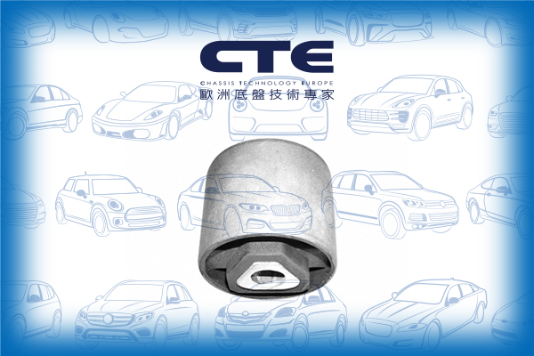 Rubber Bushing/BMW/5 (E34)/7 (E32)