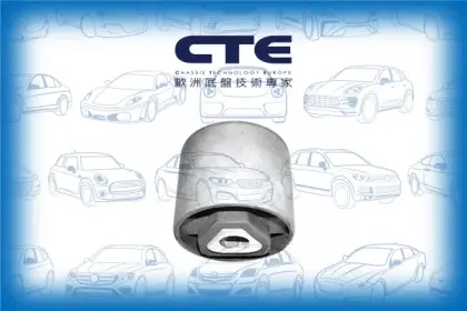 Rubber Bushing/BMW/5 (E34)/7 (E32)