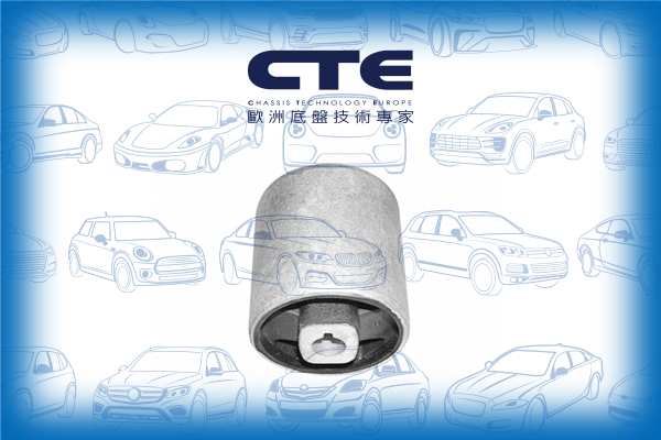 Rubber Bushing/BMW/5 (E39)