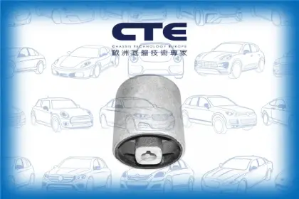 Rubber Bushing/BMW/5 (E39)