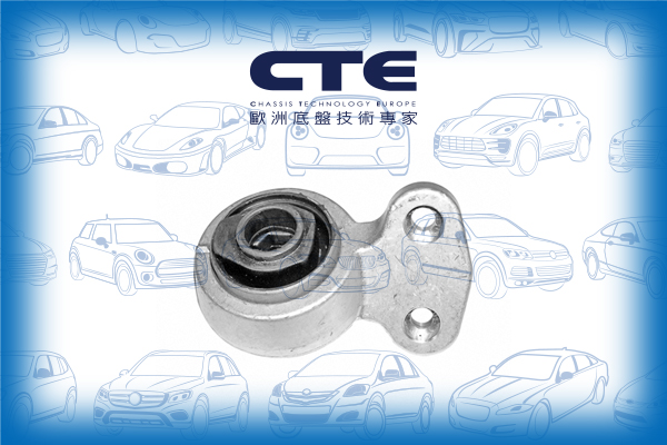 Rubber Bushing/BMW/Z3 Coupe (E36)/Z3 Roadster (E36)
