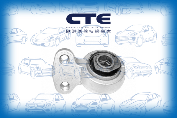 Rubber Bushing/BMW/Z3 Coupe (E36)/Z3 Roadster (E36)