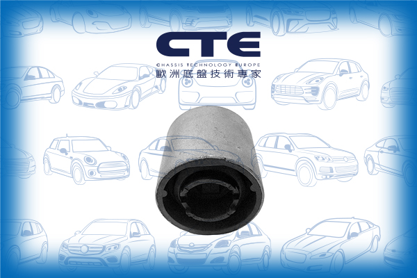 Rubber Bushing/MINI/MINI (R50, R53)/MINI Convertible (R52)