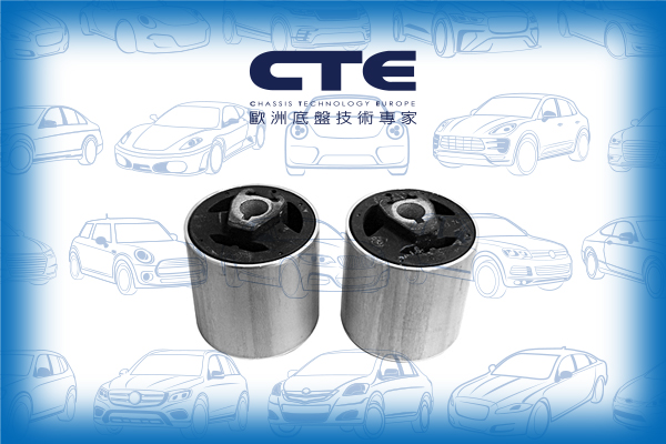 Rubber Bushing/BMW/7 (E38)