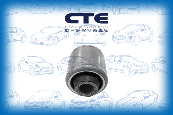 Rubber Bushing/BMW/X5 (E70)/X6 (E71, E72)