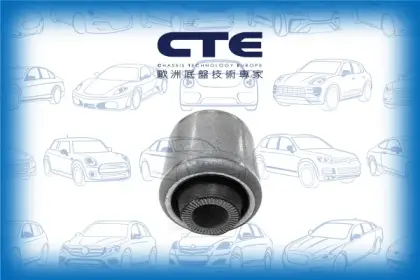 Rubber Bushing/BMW/X5 (E70)/X6 (E71, E72)