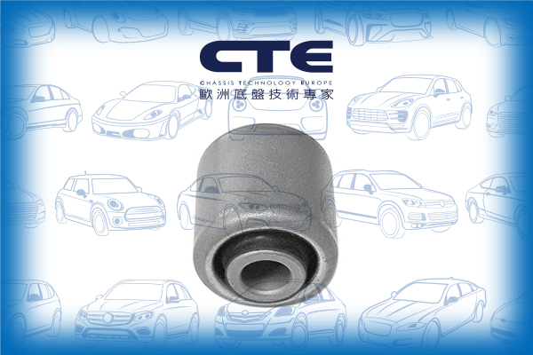 Rubber Bushing/BMW/X5 (E70)/X6 (E71, E72)