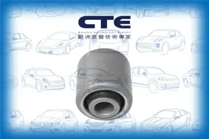 Rubber Bushing/BMW/X5 (E70)/X6 (E71, E72)