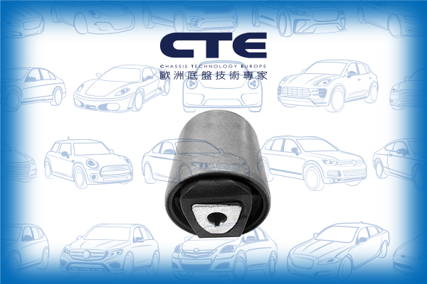 Rubber Bushing/BMW/X5 (E70)/X5 (F15, F85)/X6 (E71, E72)/X6 (F16, F86)