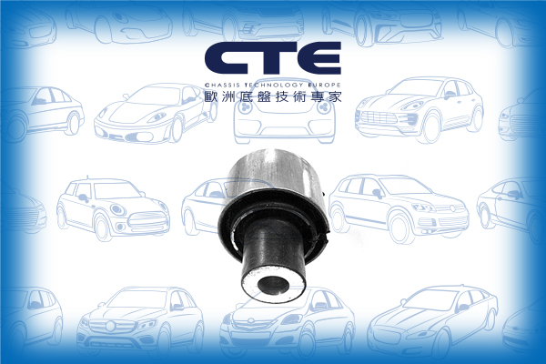 Rubber Bushing/BMW/5 (E39)