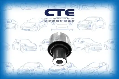 Rubber Bushing/BMW/5 (E39)