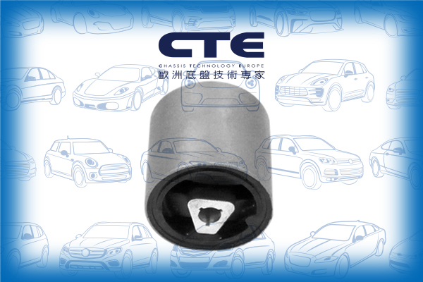 Rubber Bushing/BMW/5 (E60)/5 Touring (E61)/6 (E63)/6 Convertible (E64)