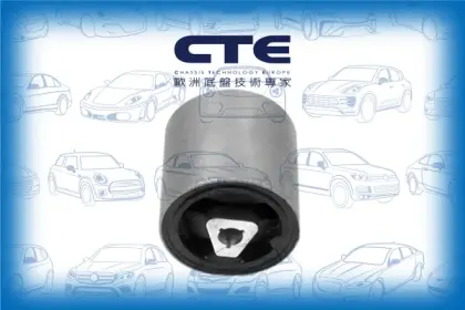 Rubber Bushing/BMW/5 (E60)/5 Touring (E61)/6 (E63)/6 Convertible (E64)