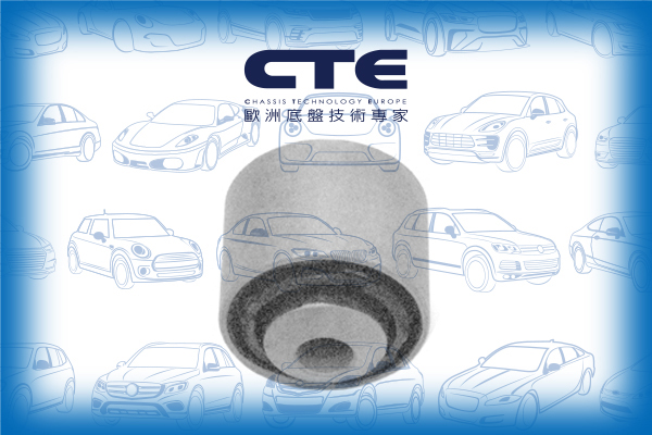 Rubber Bushing/BMW/1 (E87)/3 (E90)/3 Coupe (E92)/3 Touring (E91)/X1 (E84)