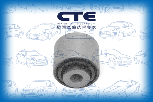 Rubber Bushing/BMW/1 (E87)/3 (E90)/3 Coupe (E92)/3 Touring (E91)/X1 (E84)