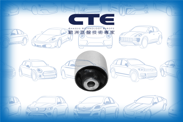 Rubber Bushing/BMW/5 (F10)/5 Touring (F11)/6 Coupe (F13)/6 Gran Coupe (F06)