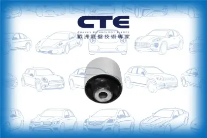 Rubber Bushing/BMW/5 (F10)/5 Touring (F11)/6 Coupe (F13)/6 Gran Coupe (F06)