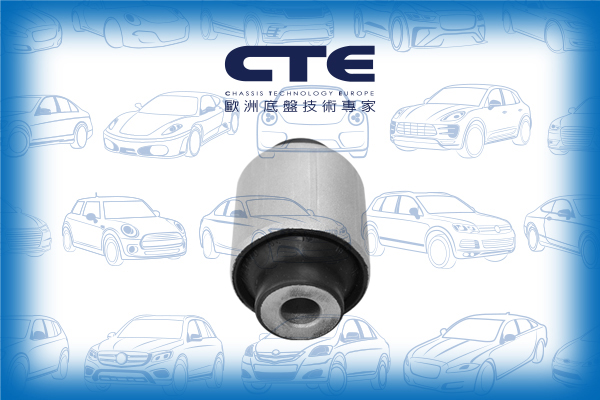 Rubber Bushing/BMW/5 (F10)/5 Touring (F11)/6 Coupe (F13)/6 Gran Coupe (F06)/7 (F01, F02, F03, F04)