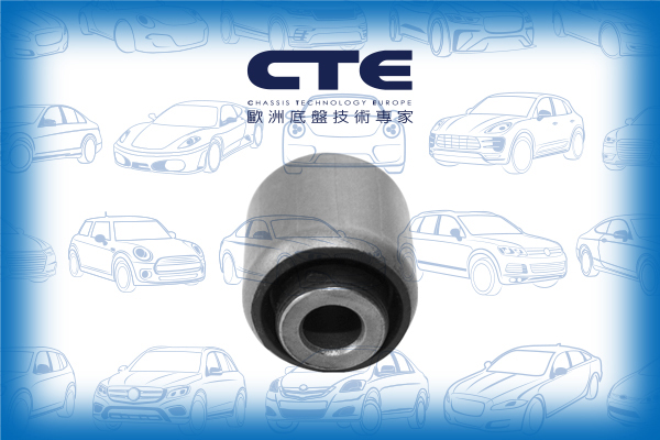 Rubber Bushing/BMW/5 (F10)/5 Touring (F11)/6 Coupe (F13)/6 Gran Coupe (F06)/7 (F01, F02, F03, F04)